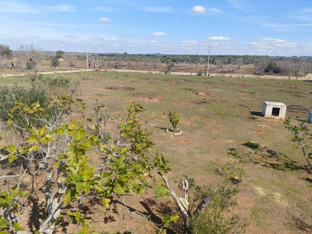 Giano Group Immobiliare